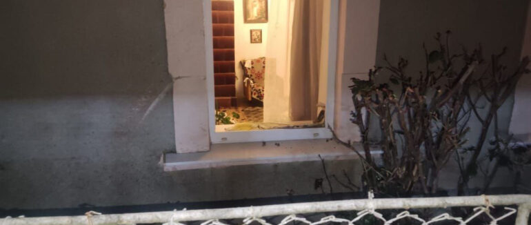 Собака врятувала життя жінці, але її син загинув: що вночі трапилося в Ужгороді