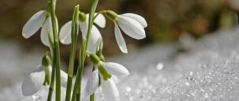 Коли варто очікувати потепління – синоптики