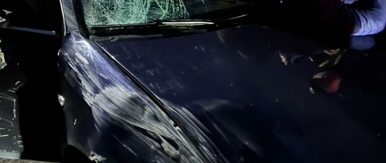 На Берегівщині 21-річний водій на «Audi» на смерть збив жінку і втік