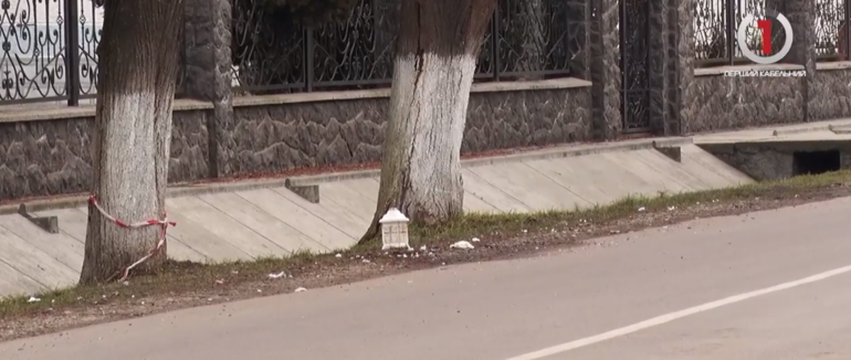 Виховувала двох синів: що відомо про загиблу у ДТП на Мукачівщині (ВІДЕО)