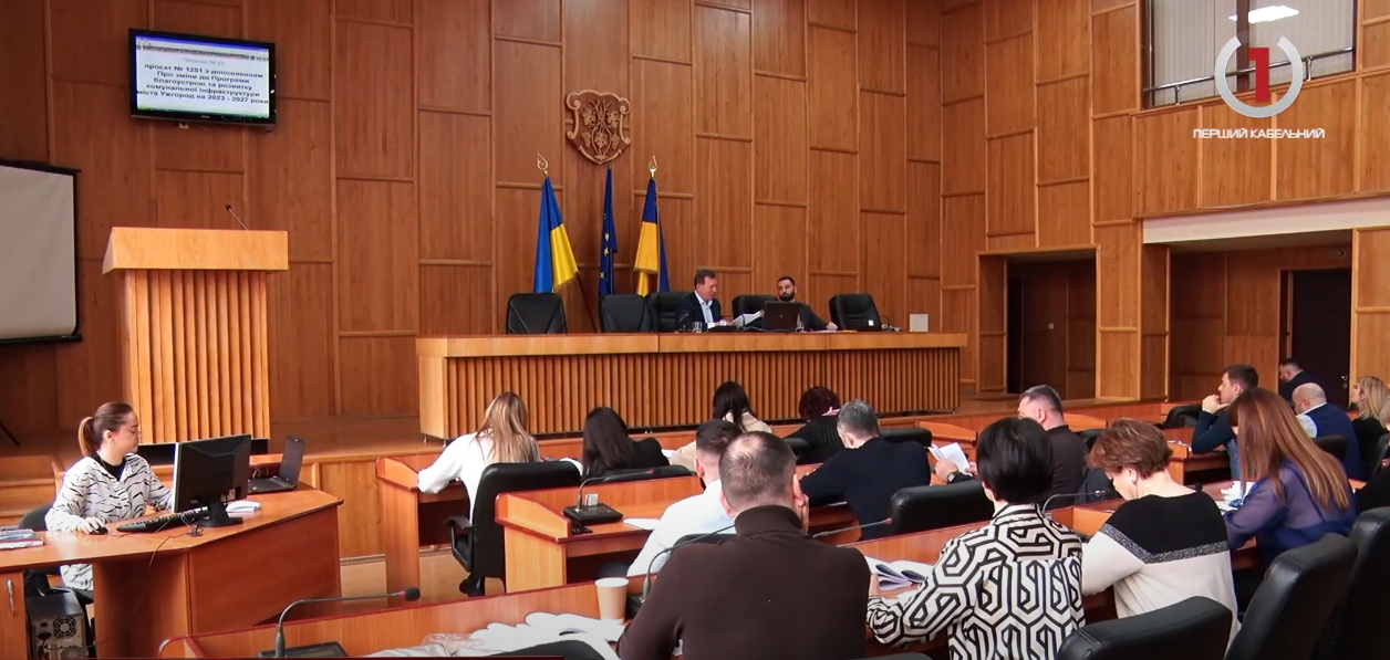Засідали з німецькою делегацією: в Ужгороді відбулося сесійне засідання (ВІДЕО)
