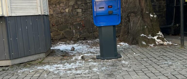 В Ужгороді у тестовому режимі розпочато платне паркування на трьох локаціях