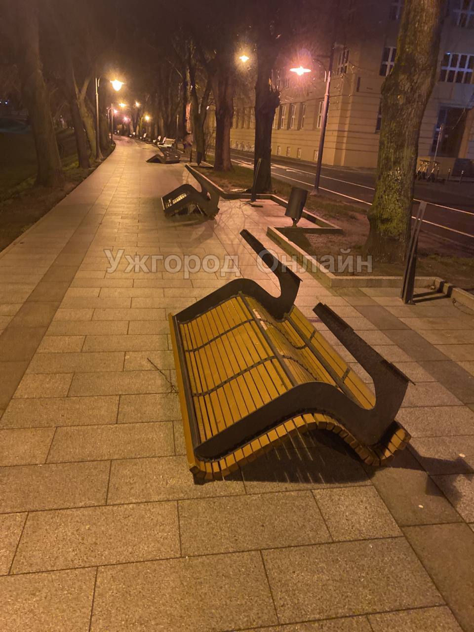 Зламані дерева, пошкоджені дахи, перекинуті паркани та лавиці: буревій в Ужгороді наробив чи мало лиха (СОЦМЕРЕЖІ)