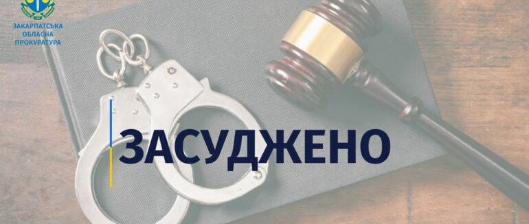 Побиття матері, що спричинило смерть, і погрози поліцейському ножем: закарпатця засуджено до 8 років за ґратами