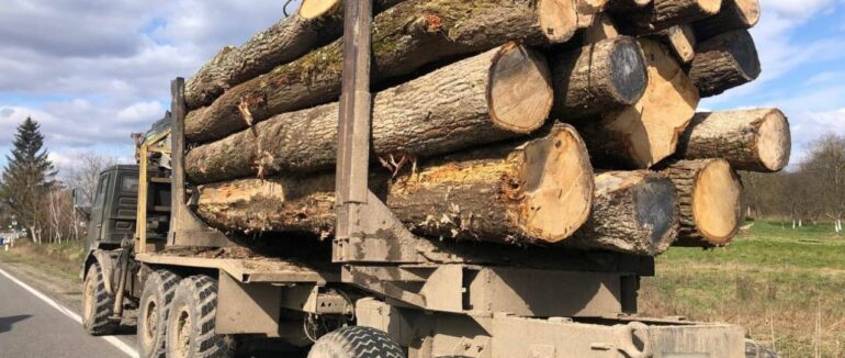 У Лалові патрульні затримали вантажівку з “лівою” деревиною