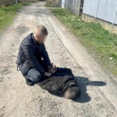 Затриманий з гранатами: на Мукачівщині зловмисника зловили після передачі “товару” (ФОТО)