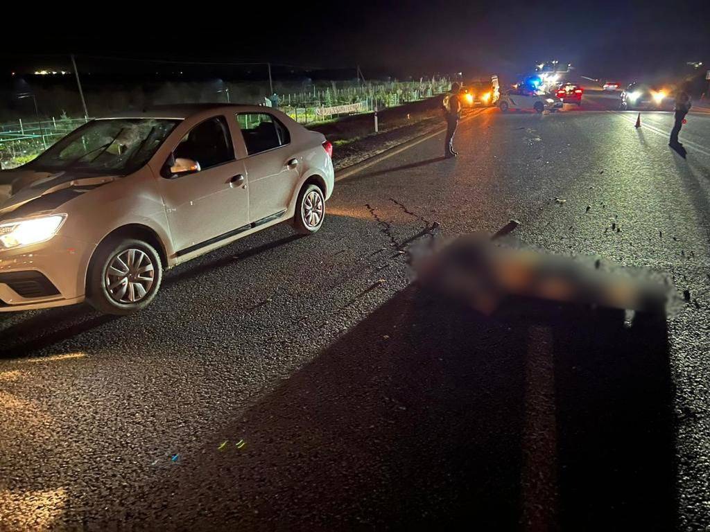 В Ужгородському районі на трасі водійка авто збила чоловіка на смерть