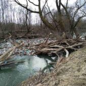 Сміттєвий затор довжиною 45 метрів утворився на річці Боржаві