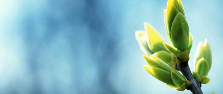 Сонячно, тепло, але інколи дощ: якою буде погода на вихідних