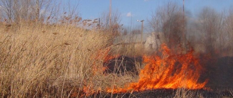 Чергові випадки підпалу: закарпатці продовжують спалювати траву