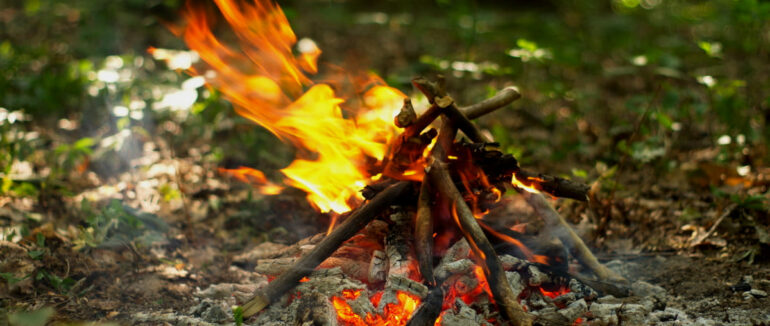 На Закарпатті заборонили розпалювати багаття у лісових масивах