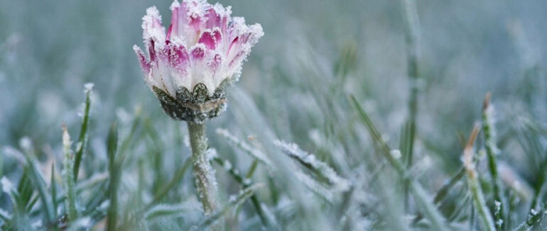 В Закарпатській області оголосили штормове попередження