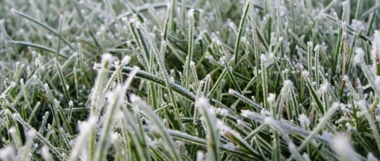 На Закарпатті прогнозують сильні заморозки