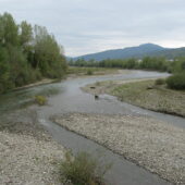 На Рахівщині шукали тіло жінки, яка стрибнула в річку