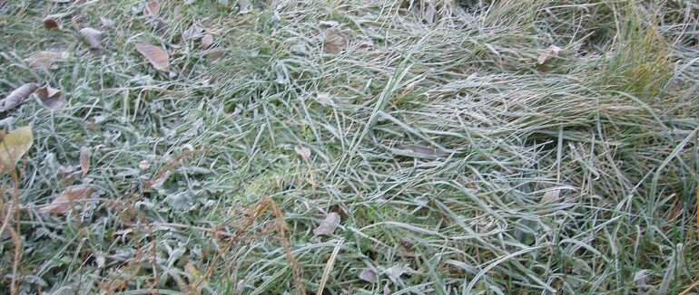 Закарпатців попередили про заморозки