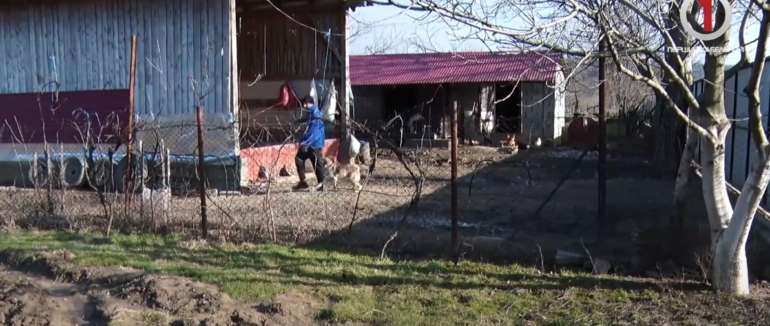 Нестерпне сусідство: у Чинадієві точаться війни через сумнівне господарство (ВІДЕО)