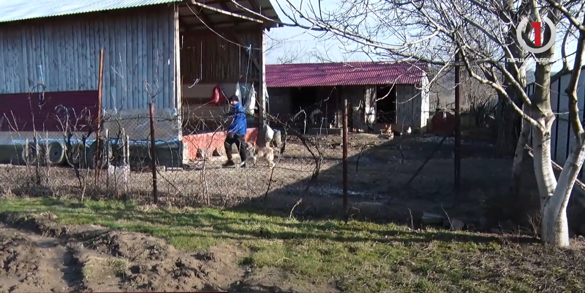 Нестерпне сусідство: у Чинадієві точаться війни через сумнівне господарство (ВІДЕО)