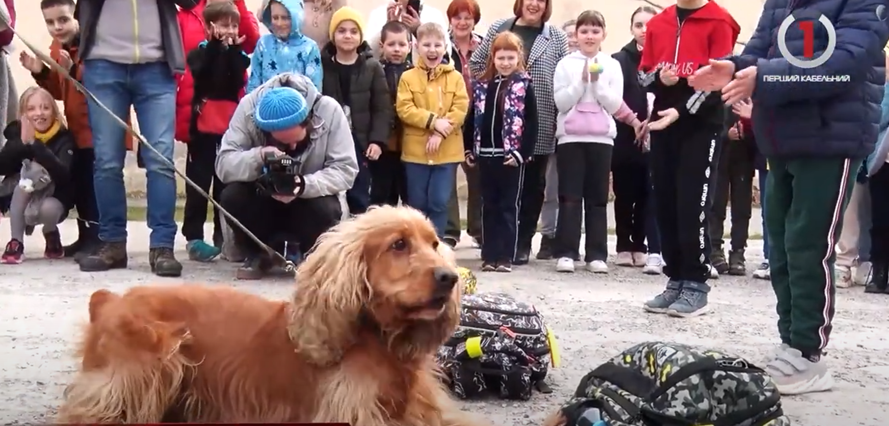 Наркотики на території школи (ВІДЕО)