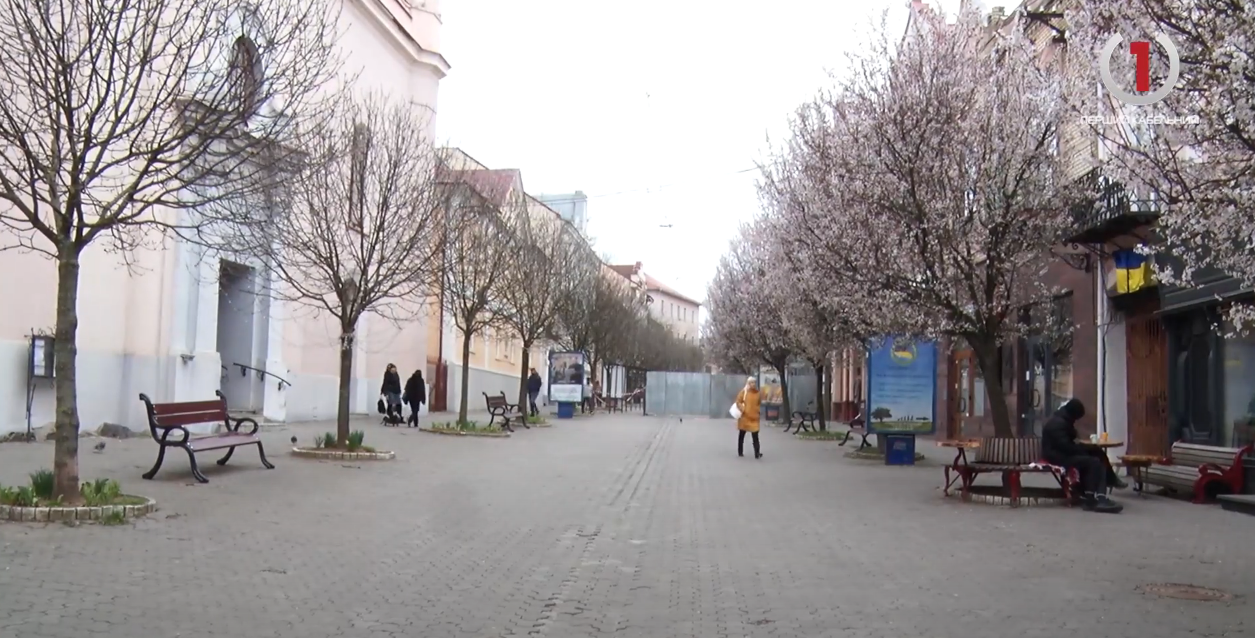 Огорожа у історичній частині Ужгорода: що зводять за 2-х метровим парканом (ВІДЕО)
