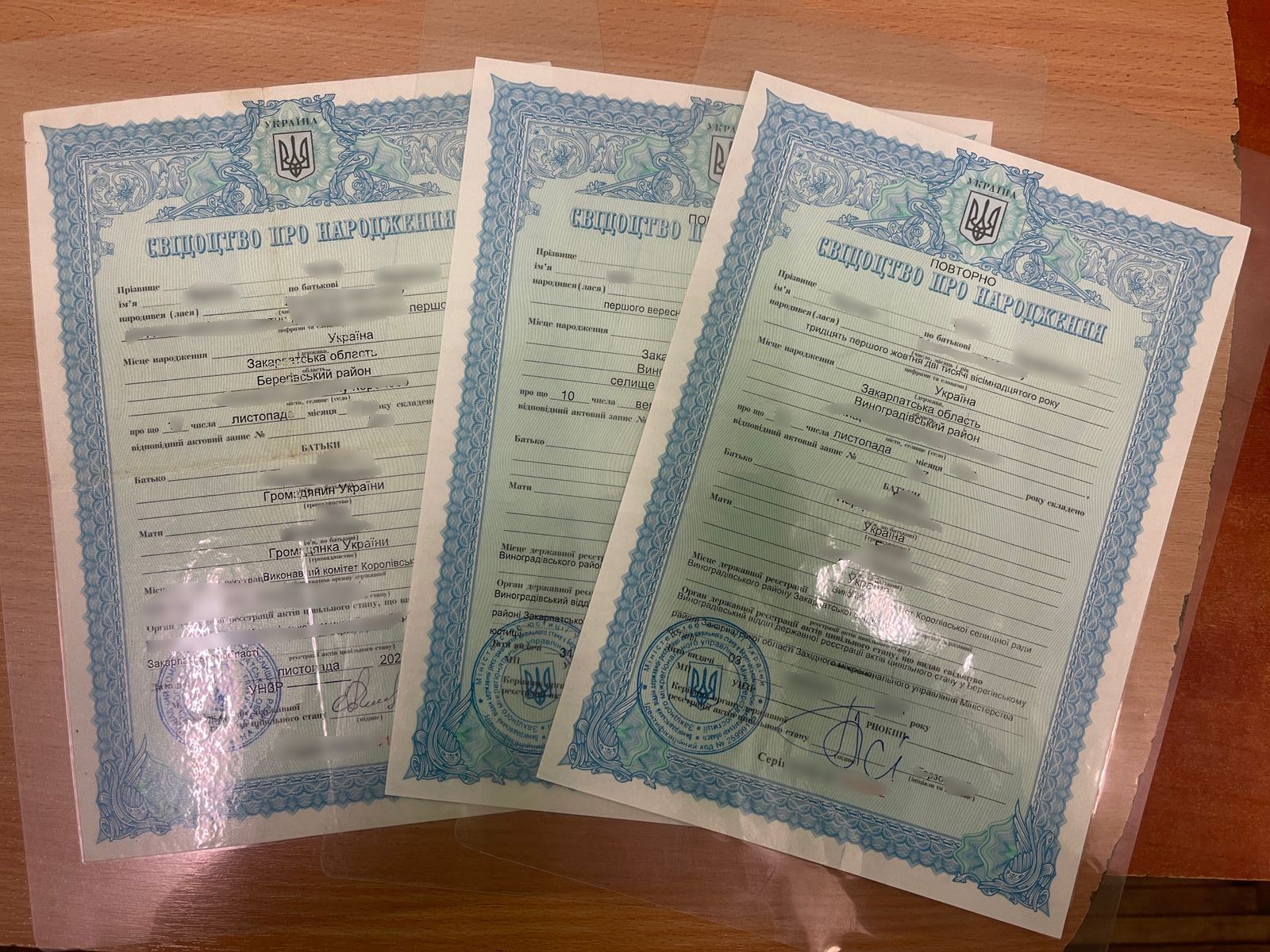 Чуже свідоцтво: на кордоні закарпатські прикордонники затримали молодика, який вдавав із себе багатодітного батька