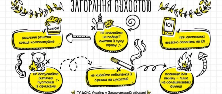 Закарпатців закликають не спалювати суху рослинність і сміття: за порушення будуть штрафувати