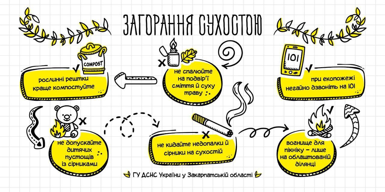Закарпатців закликають не спалювати суху рослинність і сміття: за порушення будуть штрафувати