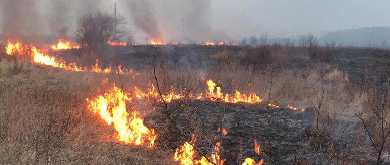 На Хустщині горів сухостій