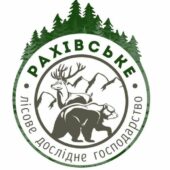 Притягнули до адмінвідповідальності: у чому звинувачують посадову особу ДП «Рахівське ЛДГ»?