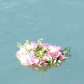 Ромська традиція: в Ужгороді вкотре по річці Уж запустили вінок свободи (ВІДЕО)