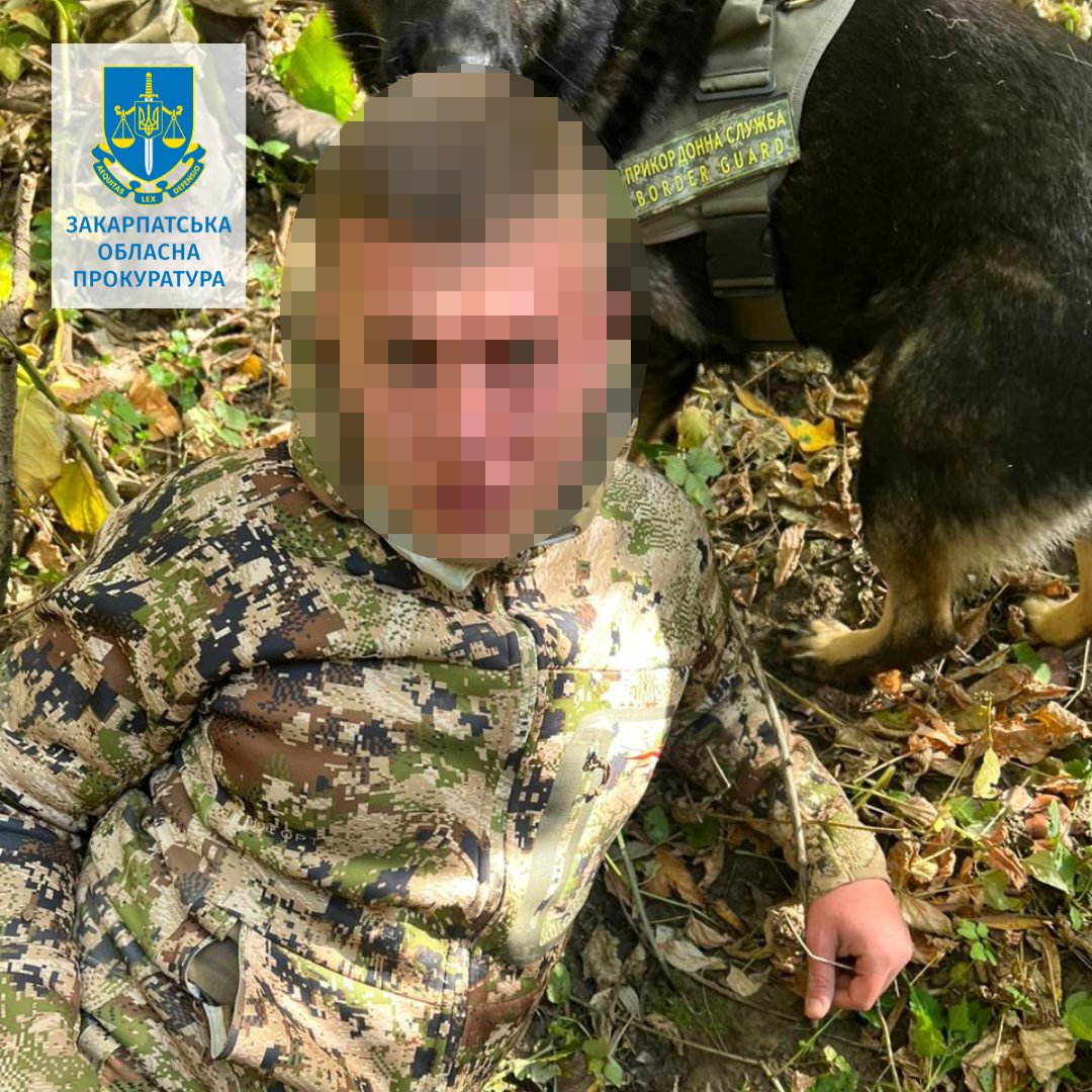 Вирощували понад 670 елітних сортів марихуани серед лісу: на Закарпатті зловмисникам обрали запобіжний захід
