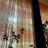 Поцілив у вікно: в Ужгороді чоловік намагався проникнути в будинок