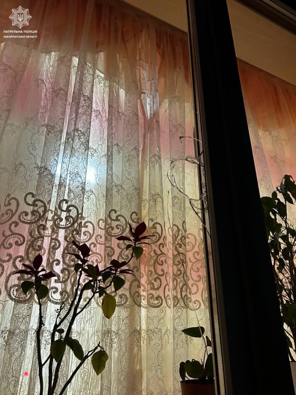 Розбив вікно та намагався проникнути в будинок: в Ужгороді затримали чоловіка