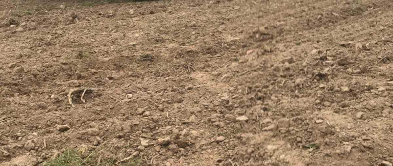 На Ужгородщині тракторист в полі натрапив на небезпечний предмет