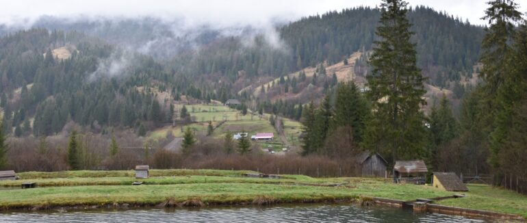 У НПП “Синевир” на Закарпатті завершили весняний збір ікри