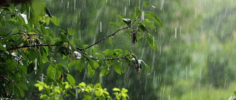 На Закарпаття суне велика негода: що очікувати