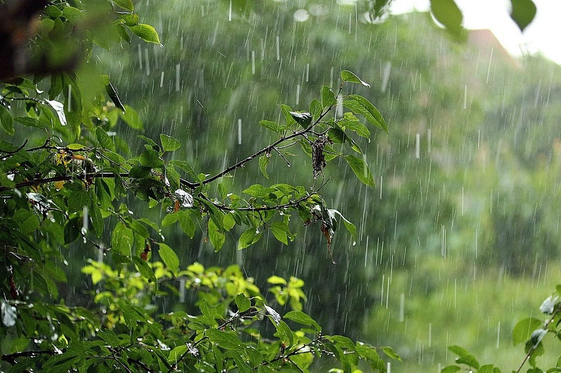 На Закарпаття суне велика негода: що очікувати