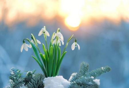 Трохи потеплішає: якою буде погода на вихідних