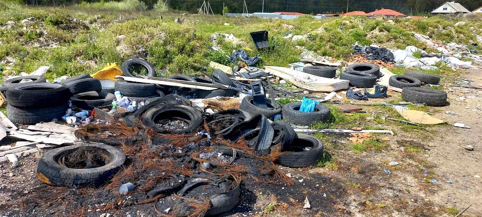 Ужгородщина потопає у тоннах сміттєвих відходів