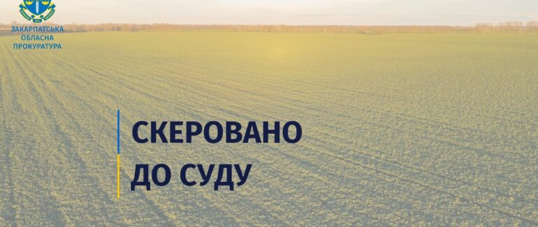 За шахрайство із земельною ділянкою на Тячівщині судитимуть місцевого жителя