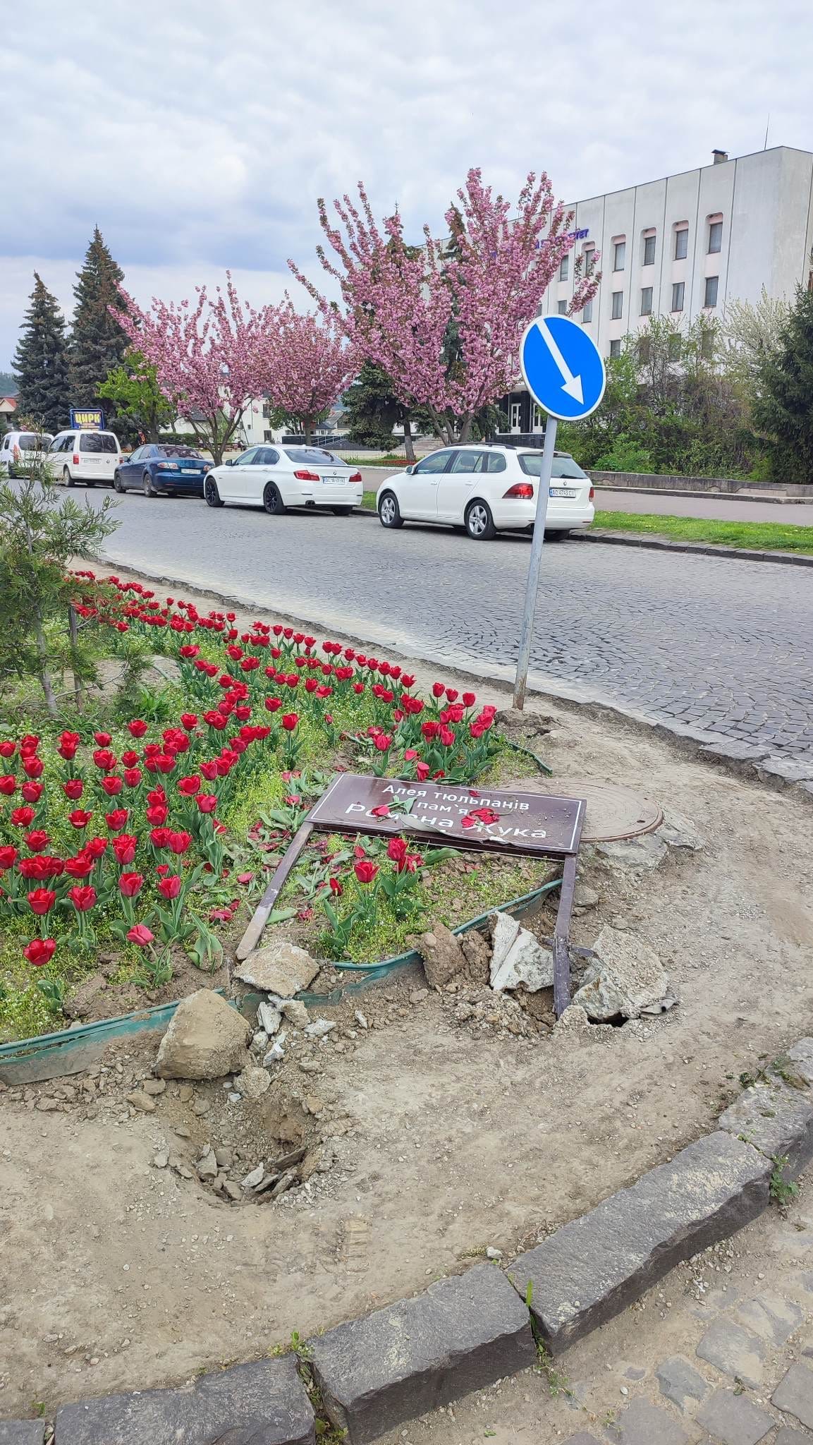 У Мукачеві пошкодили Алею тюльпанів пам’яті полеглого Романа Жука