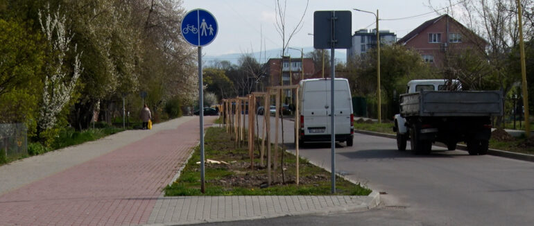 Шевченківські дуби відтепер і в Ужгороді: акція нових насаджень (ВІДЕО)