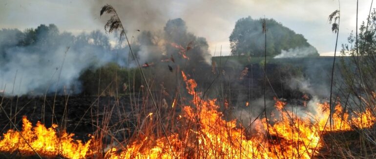 Рятувальники продовжують закликати закарпатців не спалювати сухостій