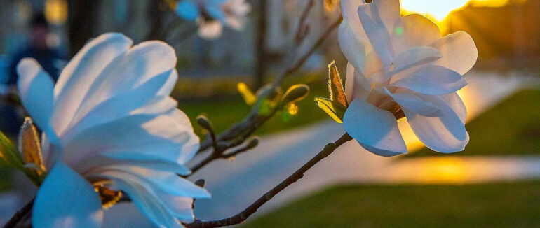 Якою буде погода сьогодні