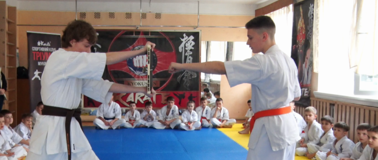 Рекорди в карате. Ігор Капура про отримання сертифікату Гіннеса і досягнення своїх учнів (ФОТО, ВІДЕО)