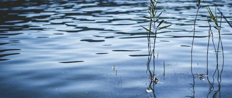 На Закарпатті виявили тіло жінка, яка стрибнула в річку ще 30 березня