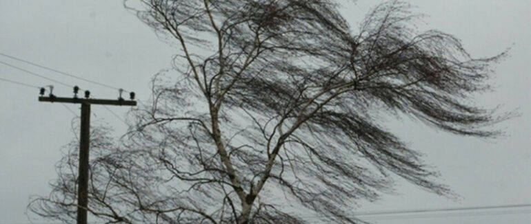 Закарпатців попереджають про сильний вітер