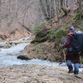 Заблукав у лісовому масиві: гірські рятувальники відшукали туриста
