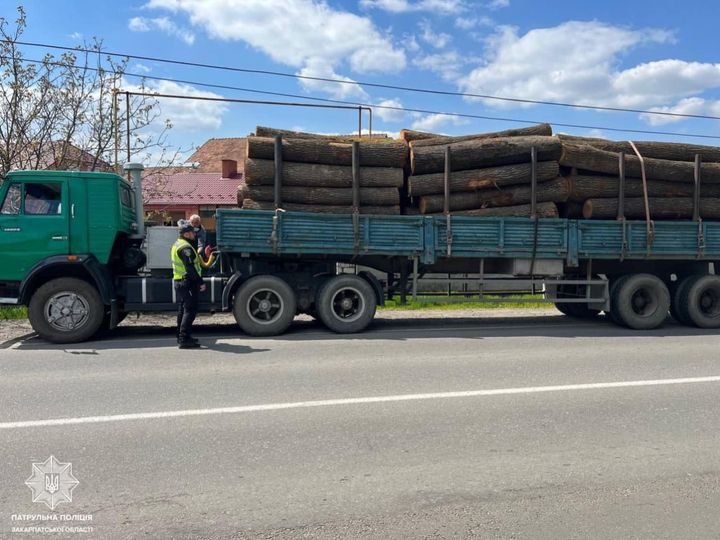 На Закарпатті патрульні виявили водія, який перевозив ліс без відповідних документів