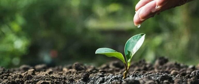 Завдяки сприятливим погодним умовам посівна на Закарпатті проходить успішно