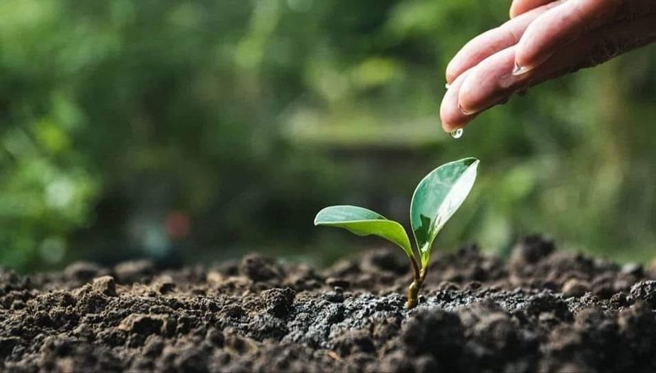 Завдяки сприятливим погодним умовам посівна на Закарпатті проходить успішно